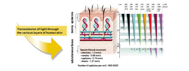 Свет БИОПТРОН оказывает биостимулирующие эффекты: воздействуя на кожу, он стимулирует светочувствительные внутриклеточные структуры и молекулы